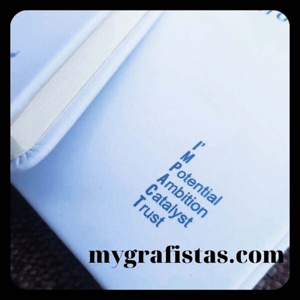 mygrafistas.com