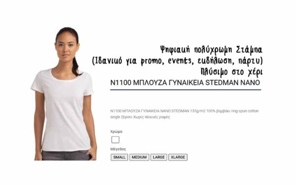 ν 1100 stetman white