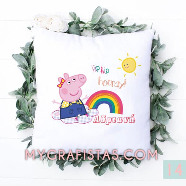 PILLOW14