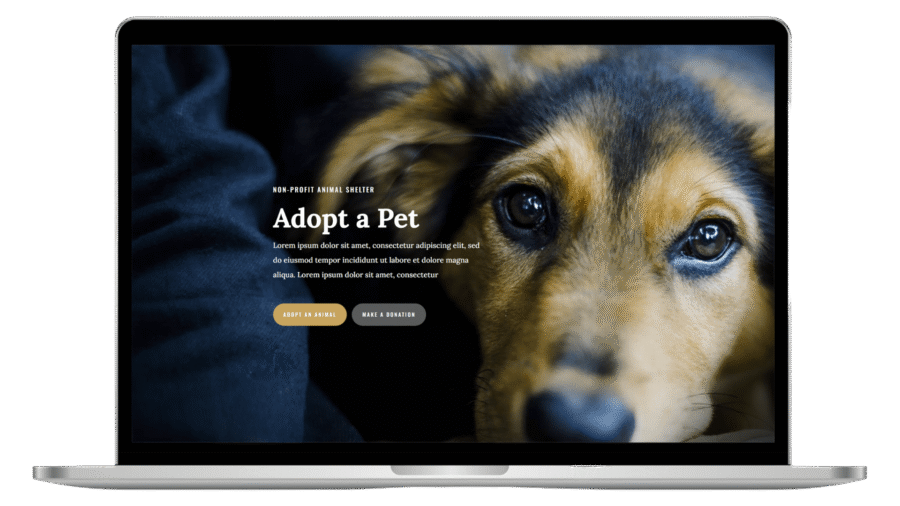 Animal Shelter Website
